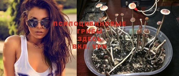 МДПВ Нея