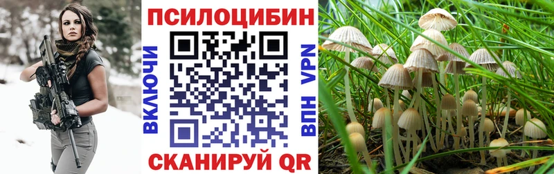 kraken ссылки  Владивосток  Псилоцибиновые грибы Psilocybine cubensis 