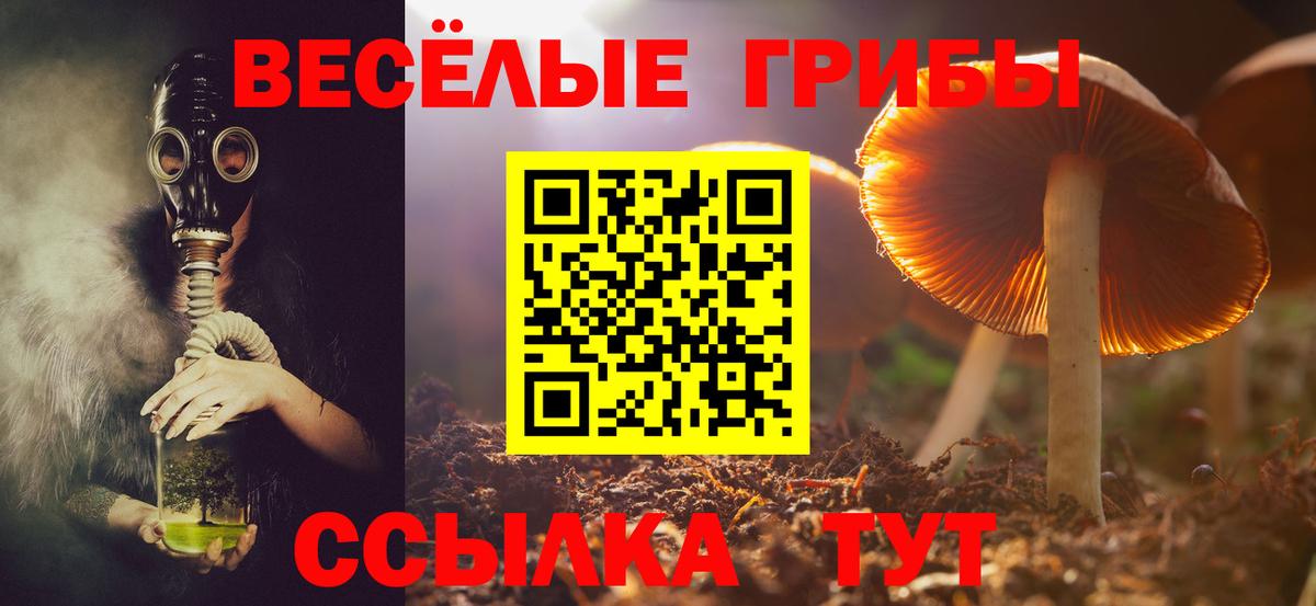 Владивосток  наркотики  Вход с VPN  Галлюциногенные грибы Magic Shrooms 