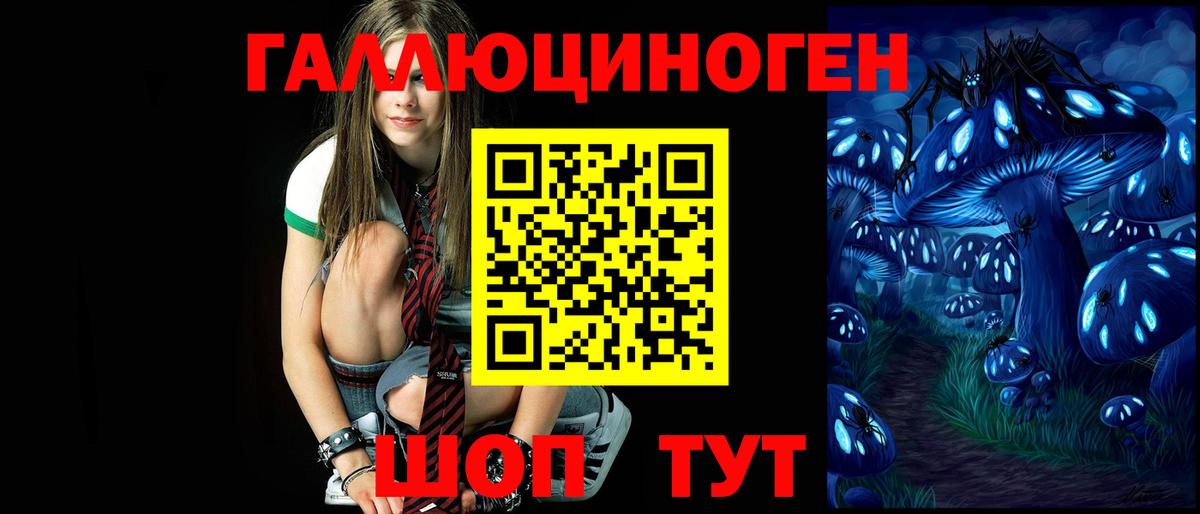 Псилоцибиновые грибы мицелий Владивосток